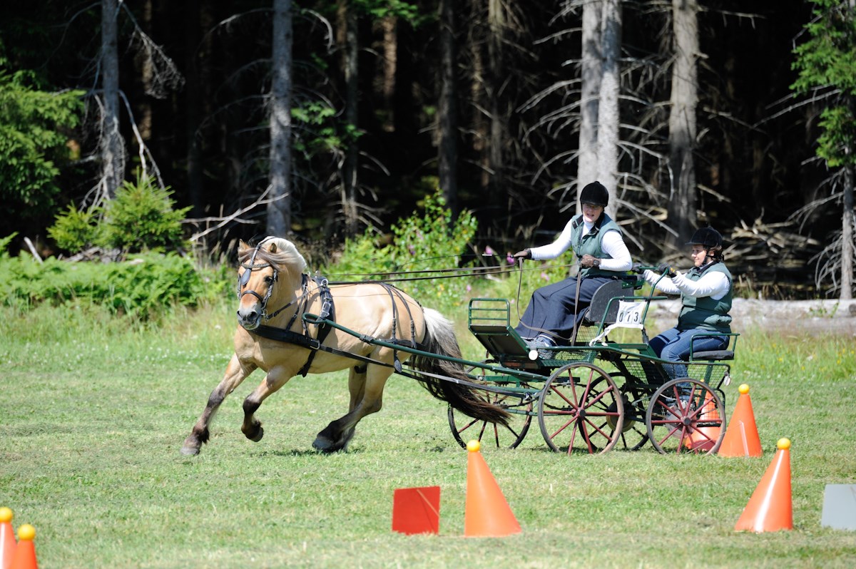 Mirexo Örebro 2013