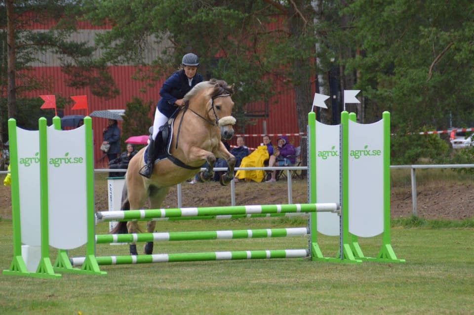 Idun Vetlanda 2017